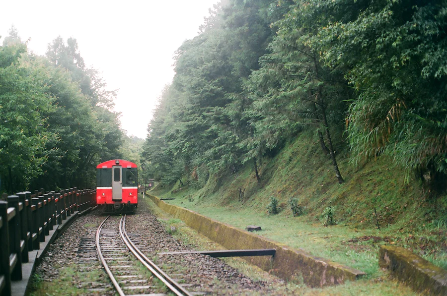 Un train en marche sur les rails à Alishan à Taiwan