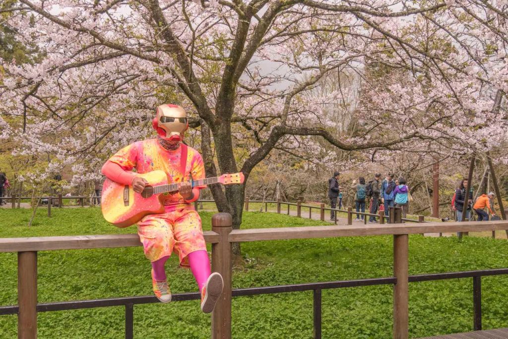 iron man à Alishan sous un cerisier en fleurs