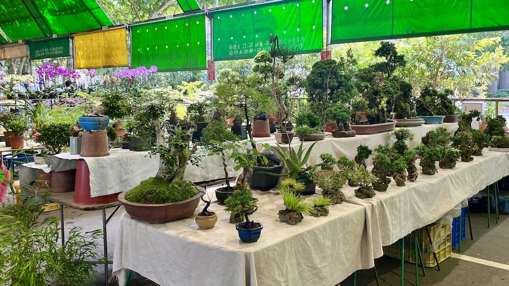 Marché aux fleurs de Jianguo